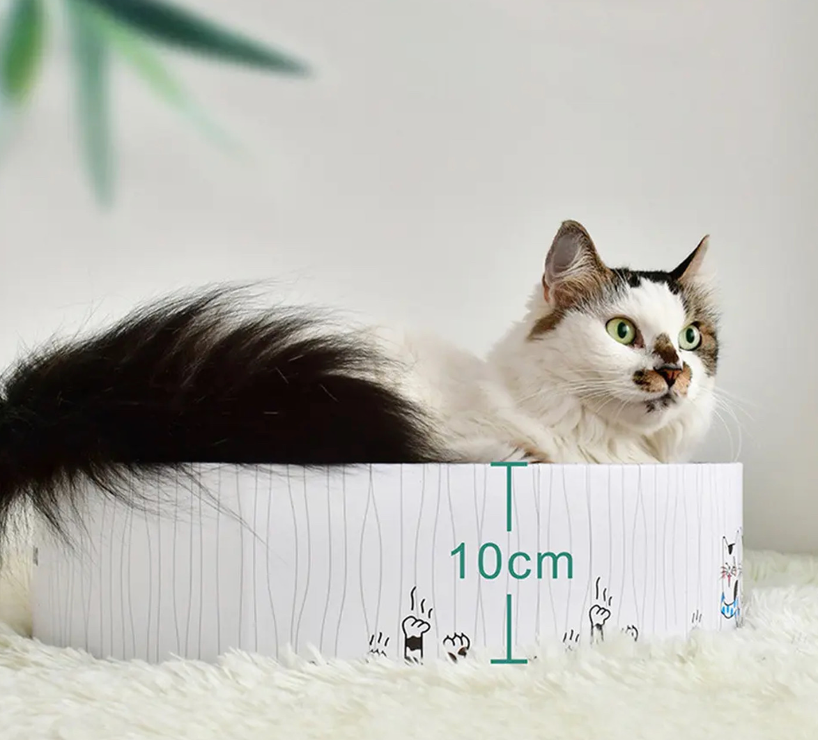Rascador RascaMiau Para Gatos Felices y Hogares Libres de Arañazos 🐱